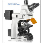 NeXcope4